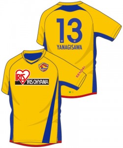 goods_130530-04柳沢