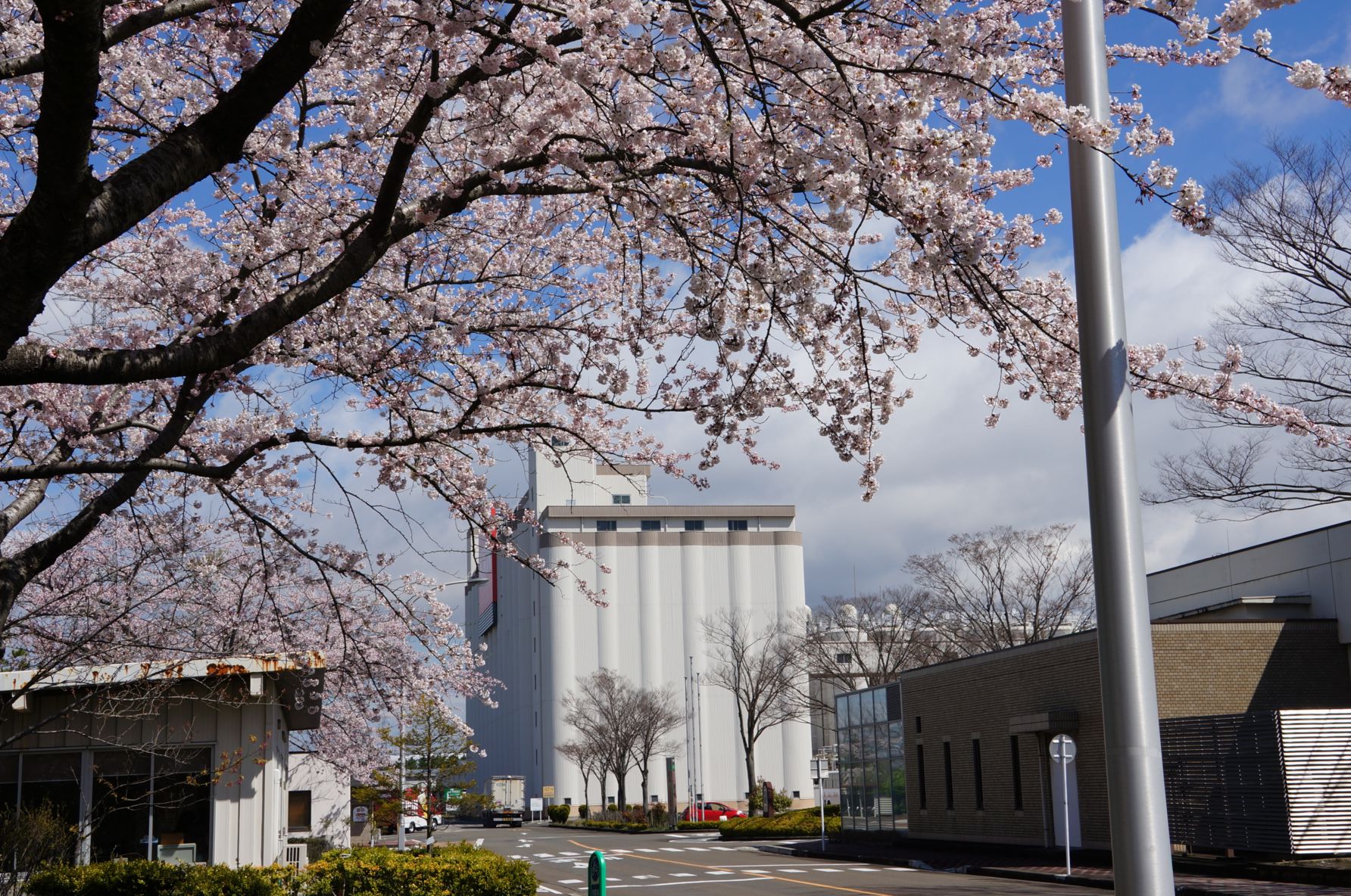 02【仙台】キリンビール仙台工場2017スプリングフェア20170324