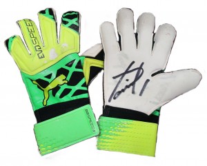 シュミットダニエルグローブ