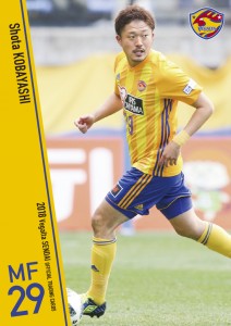 06416-VS.indd