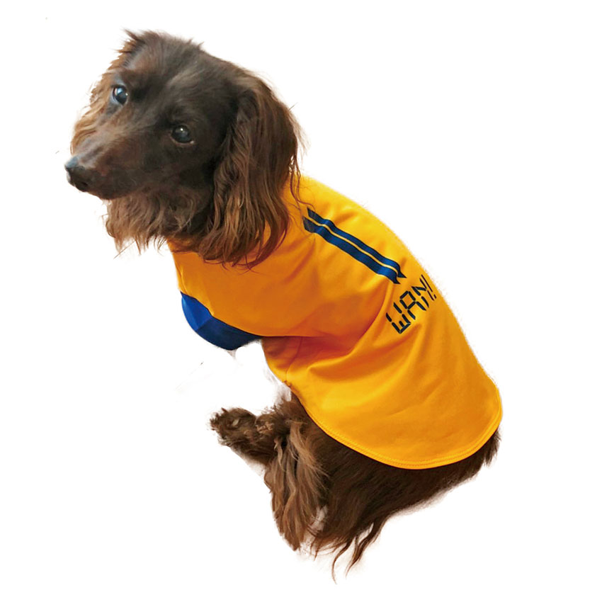 予約限定】2020ドッグユニフォーム 販売のお知らせ | ベガルタ仙台