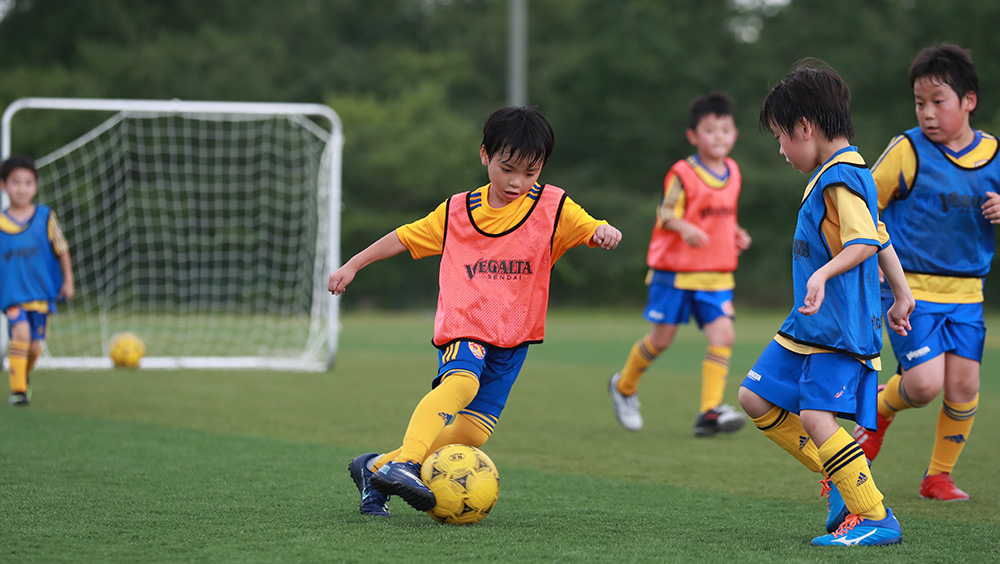 ベガルタ仙台サッカースクール 新会員管理システムについて ベガルタ仙台オフィシャルサイト