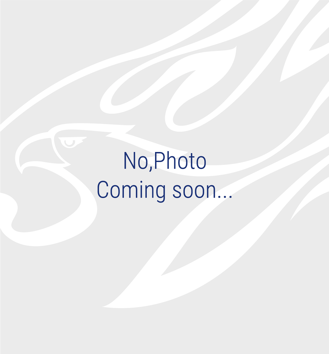 コーチ ダビド　マルティネスの写真を紹介