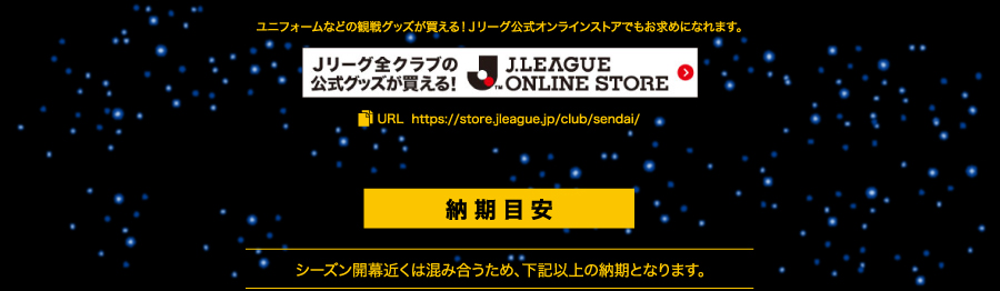 2019 オーセンティックユニフォーム