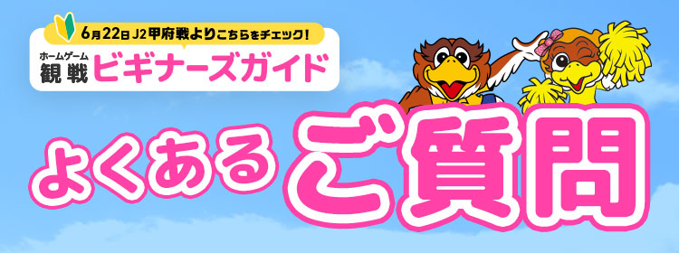 ビギナーズガイド よくあるご質問