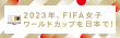2023年FIFA女子ワールドカップ招致サイトを開きます