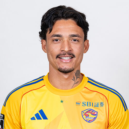 選手顔写真を紹介しています