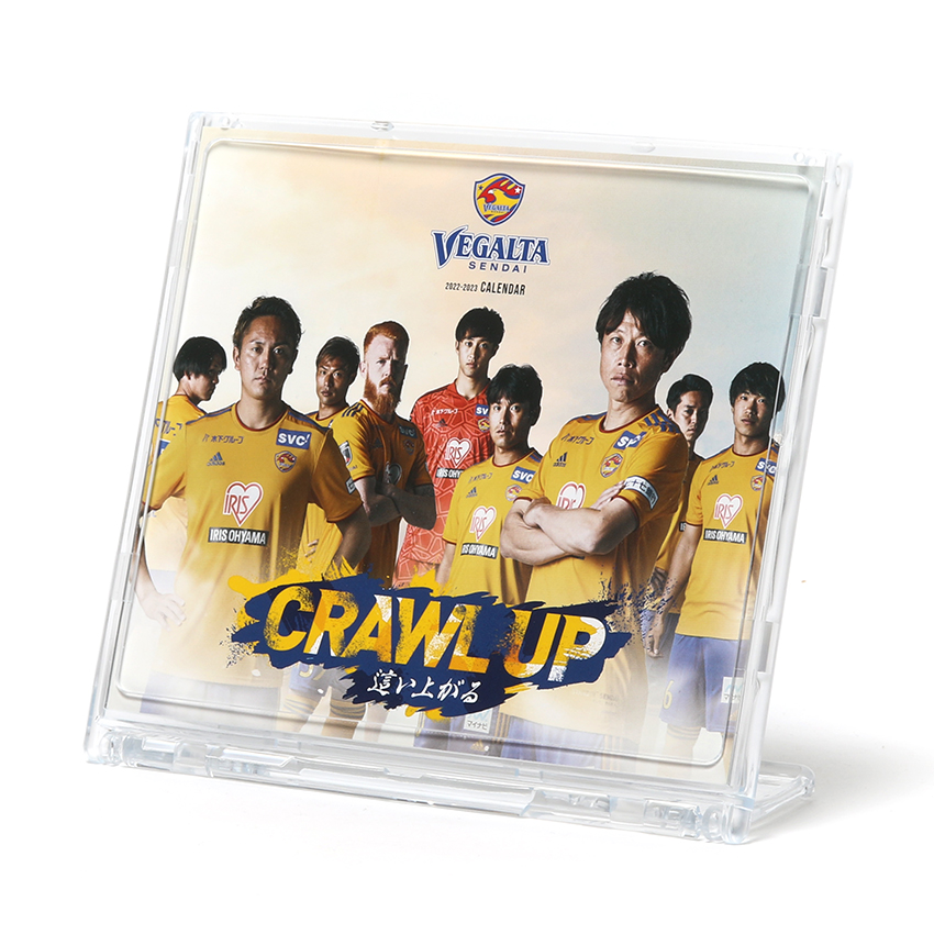 ベガルタ仙台 ユニフォーム 2022 2nd 遠藤康